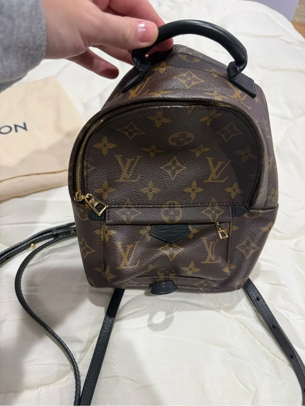 Louis Vuitton palm spring mini